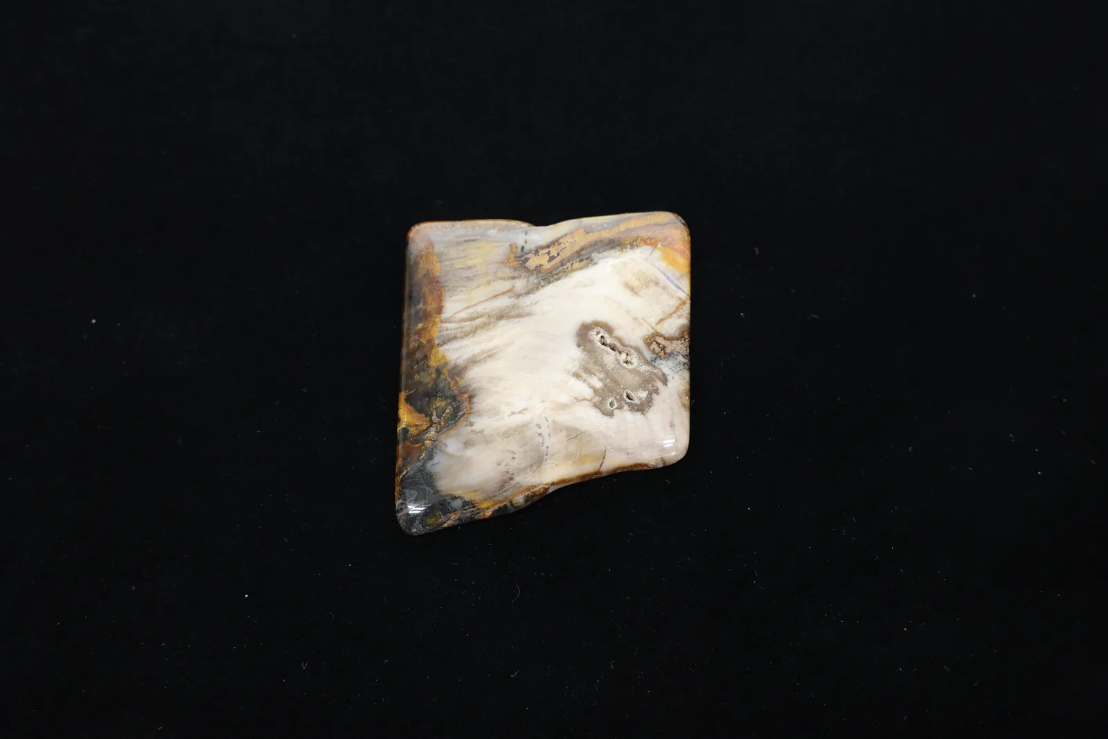 Polished Petrified Wood Lapidary Slab