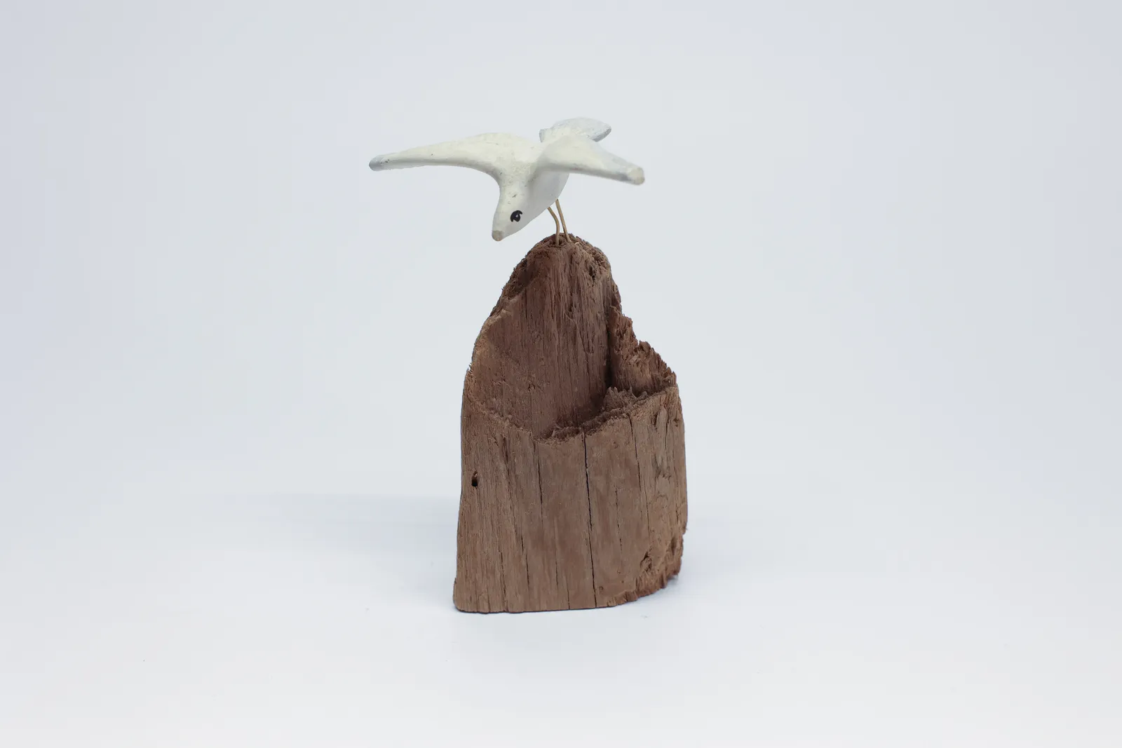 Seagull on Wood Chunk