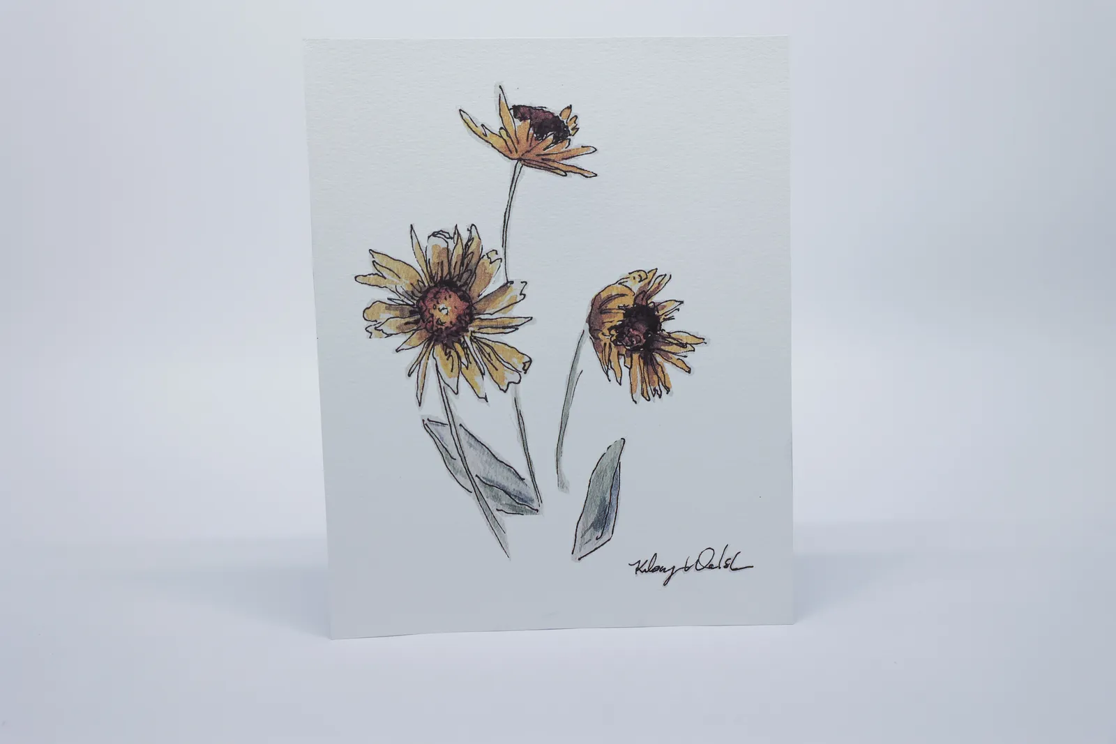 Arrowleaf Balsamroot Print