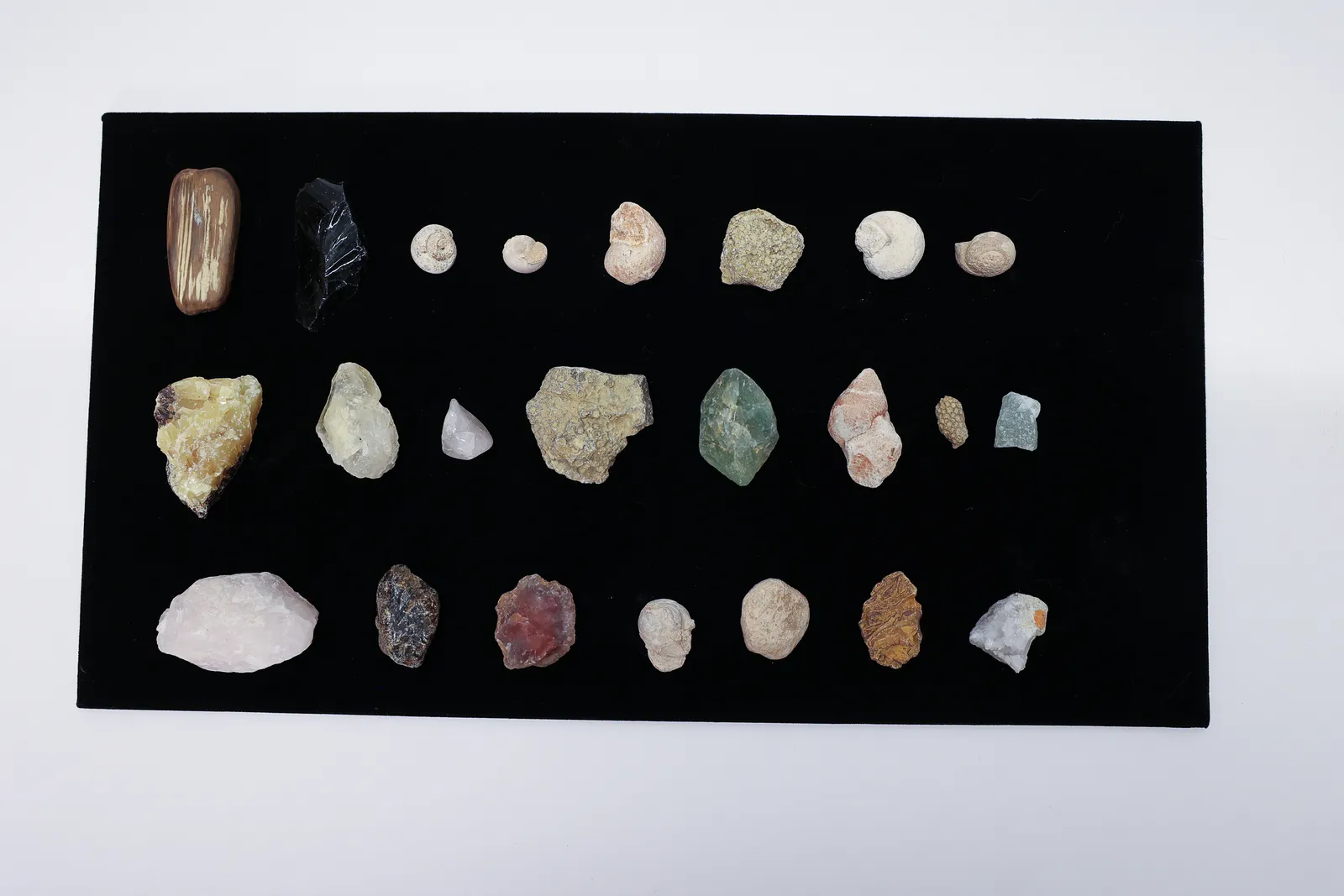 Mineral & Fossil Specimen Lot