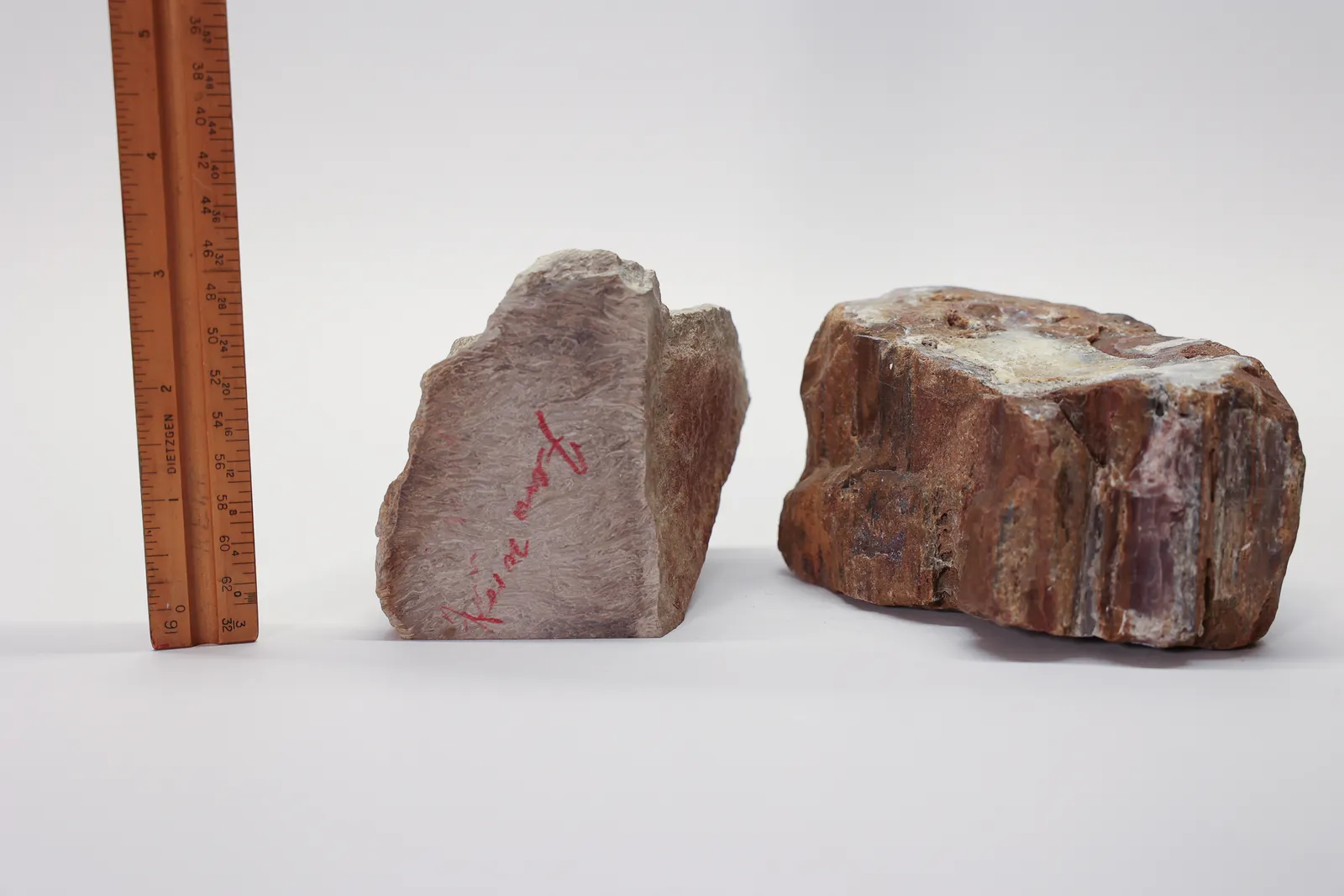 Large Petrified Wood Pieces