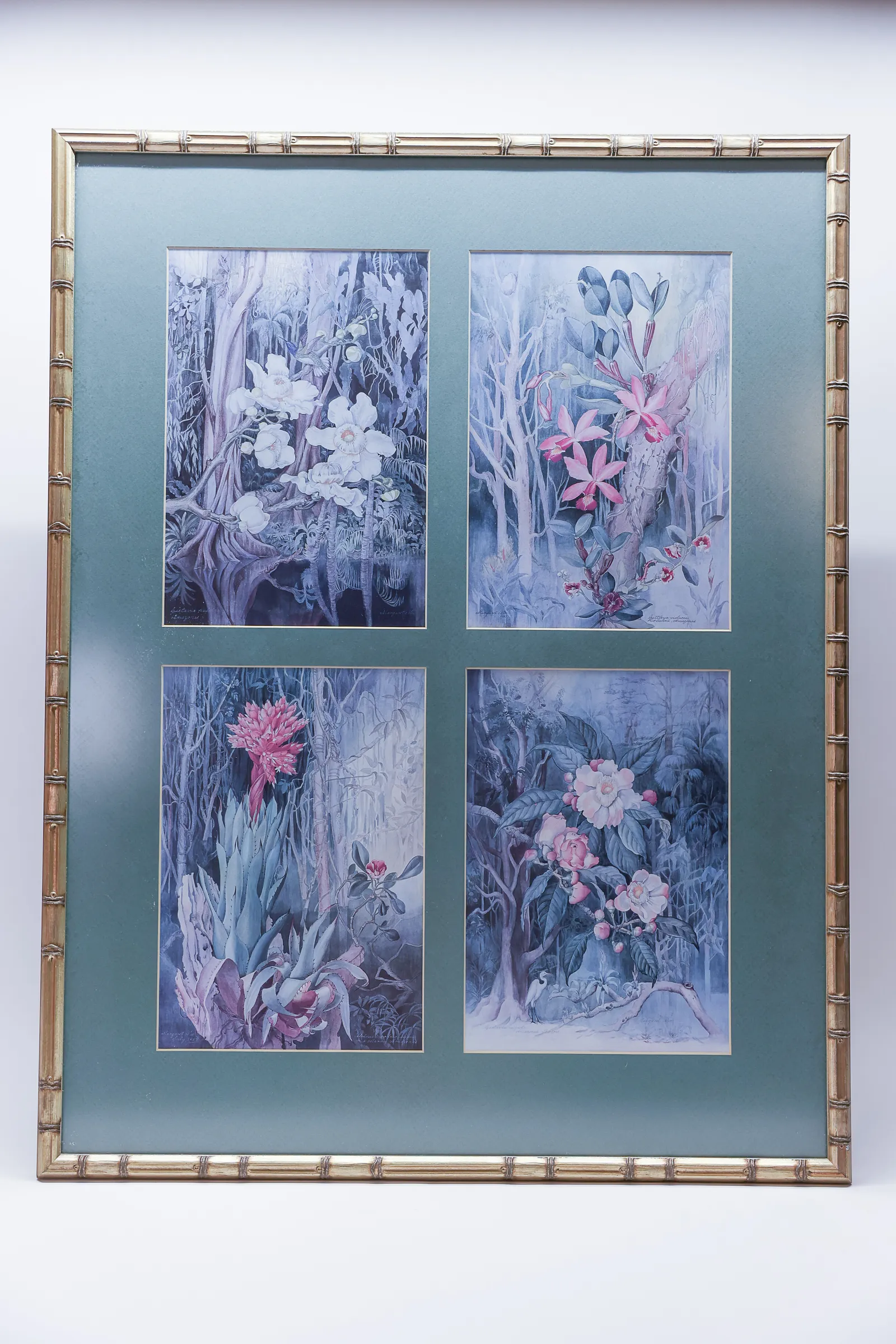 Framed Prints by Margaret Mohr