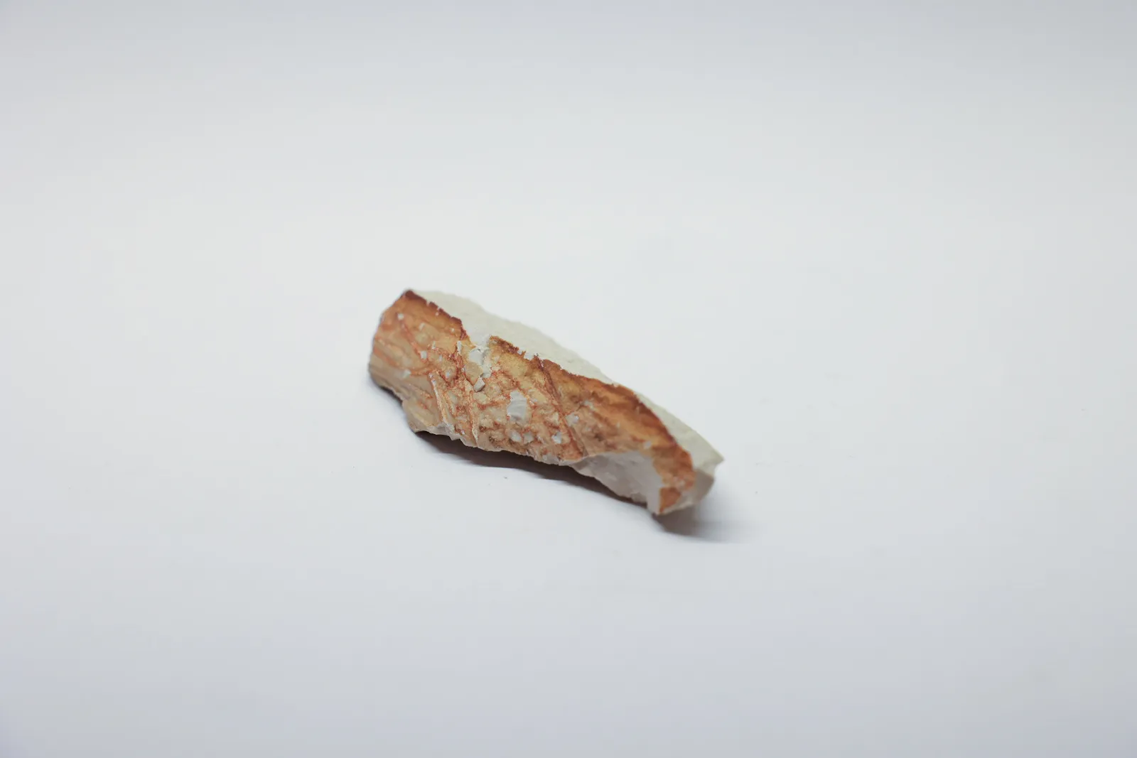 Petrified Wood