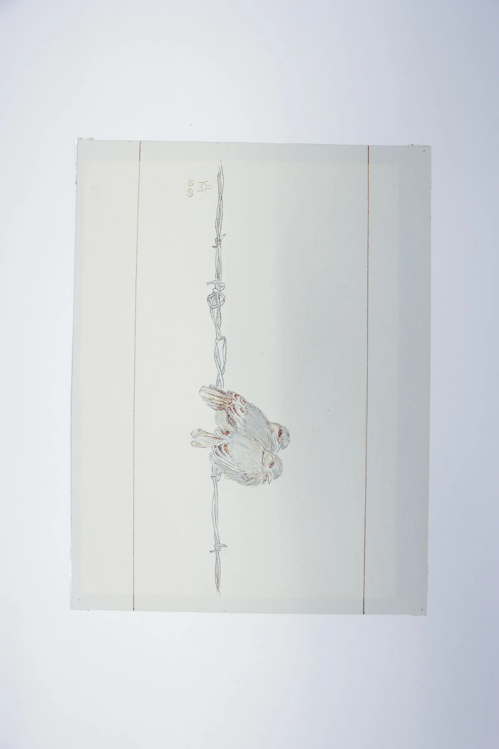 Sparrow on Barbed Wire Watercolor Sketch, 1969