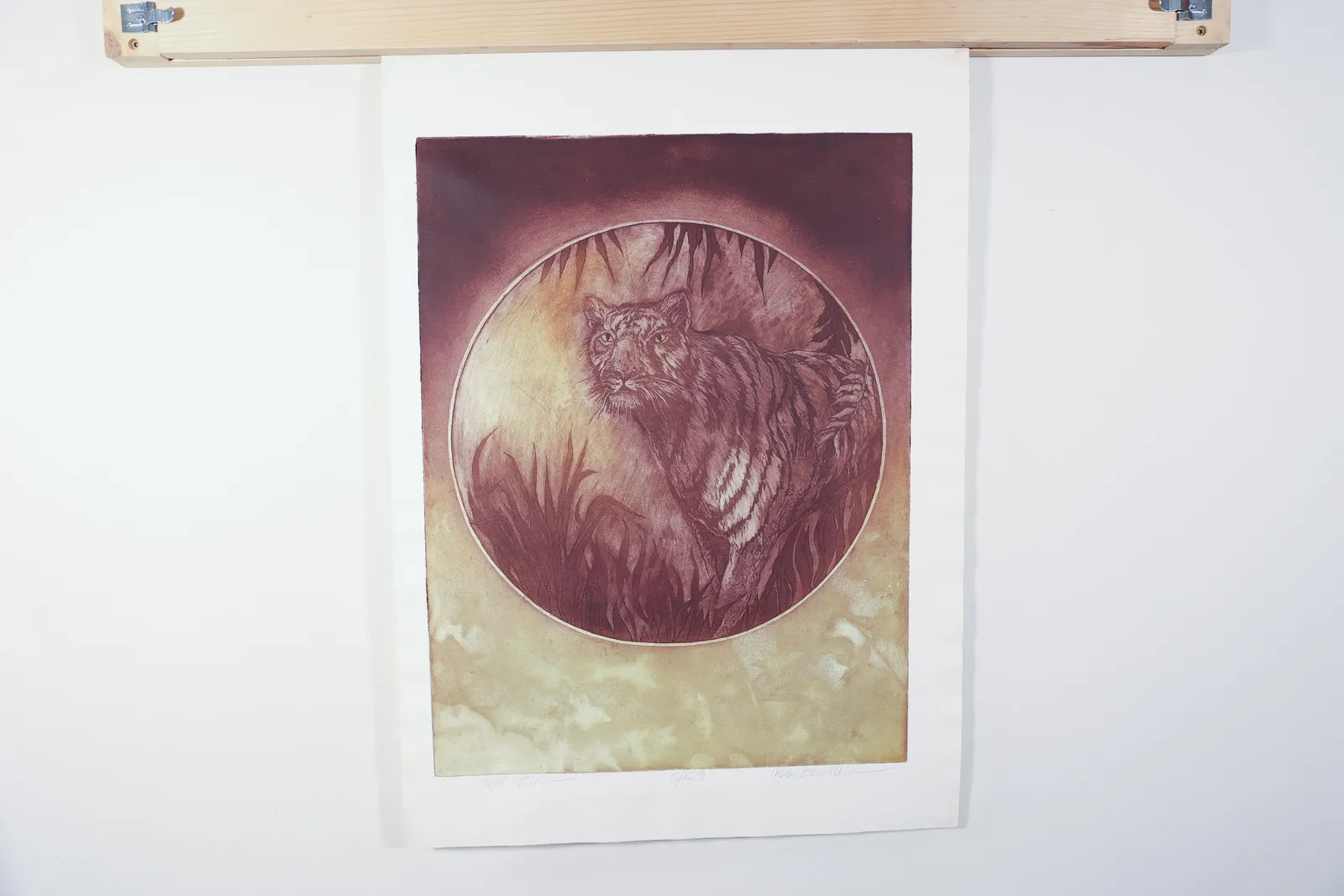 "Night Stalker" Tiger Etching, Carol Davis Elvin